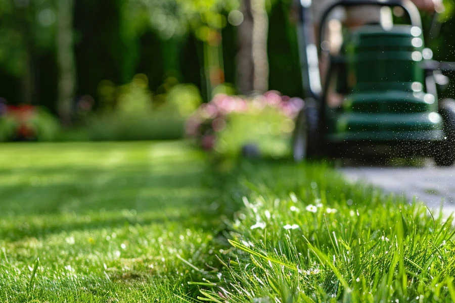 top ranked lawn mowers