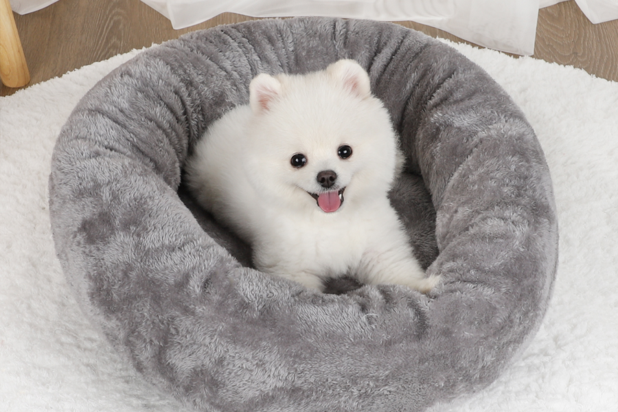 pet box dryer